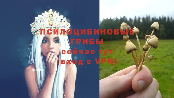 гидра Куйбышев