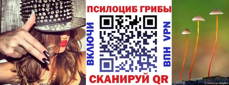 купить наркотики сайты Лермонтов Псилоцибиновые грибы ЛСД